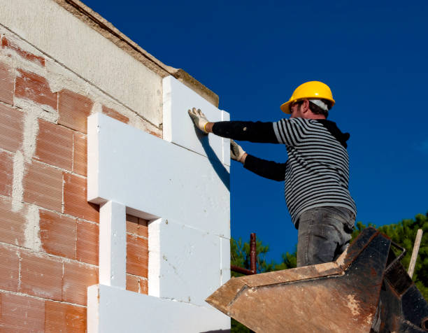 Best Residential Insulation Services  in St Simons, GA