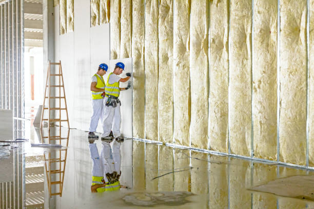Best Professional Insulation Contractor  in St Simons, GA